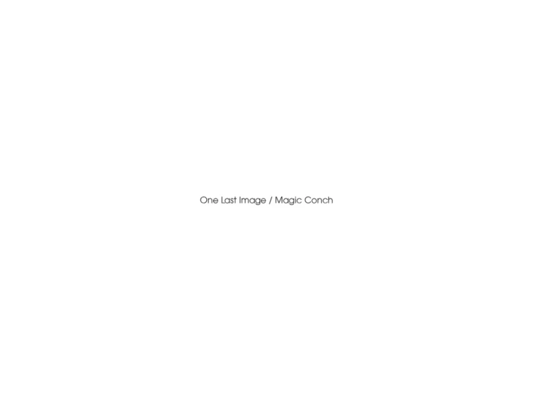 One Last Image 产品图 2
