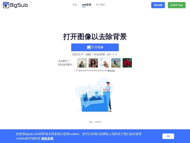 BgSub 产品图 2